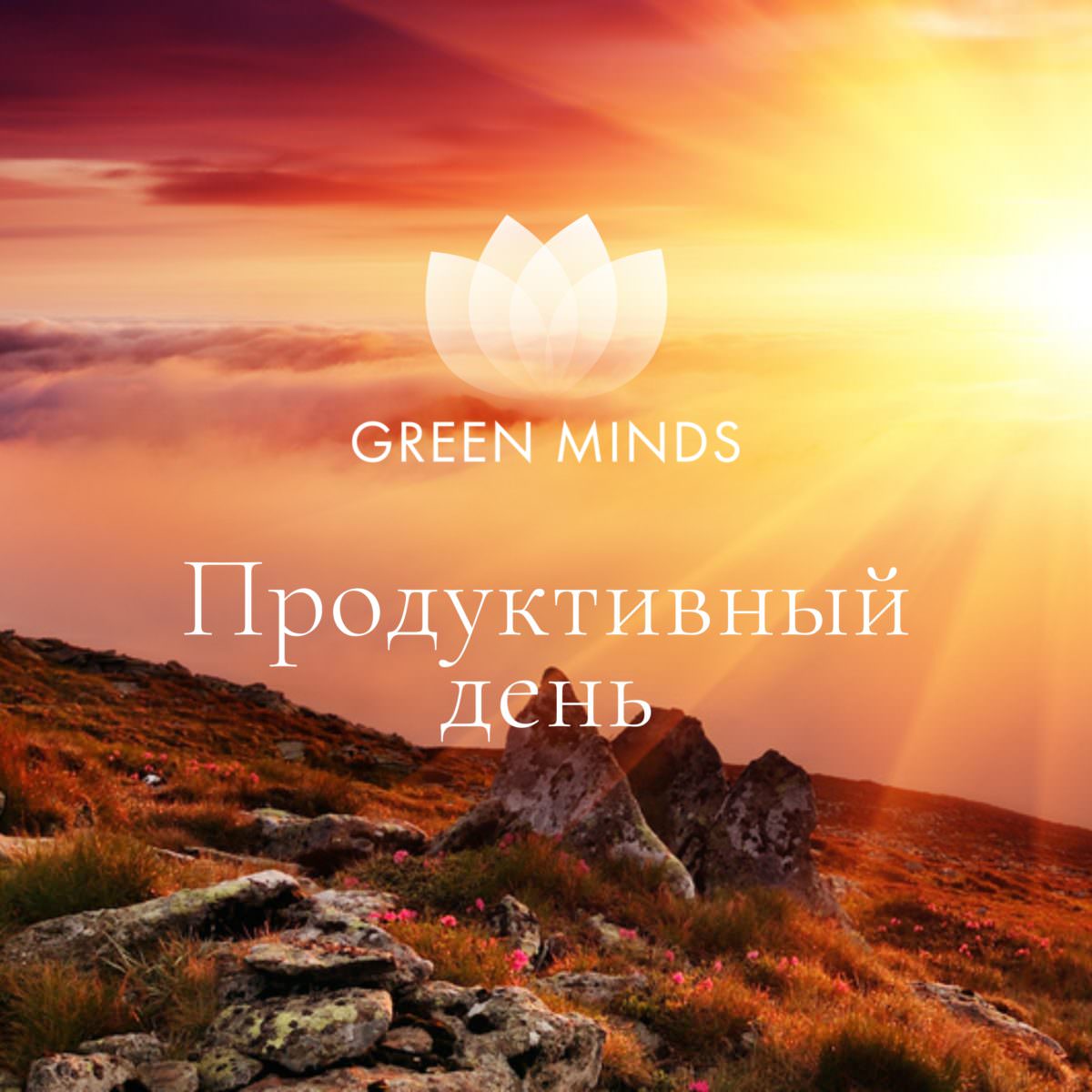 Нейромедитация GREEN MINDS «Продуктивный день» по цене 330 руб. - купить в  Кодинске ☛ Доставка ☆ Интернет-магазин «EcoGreenDom»